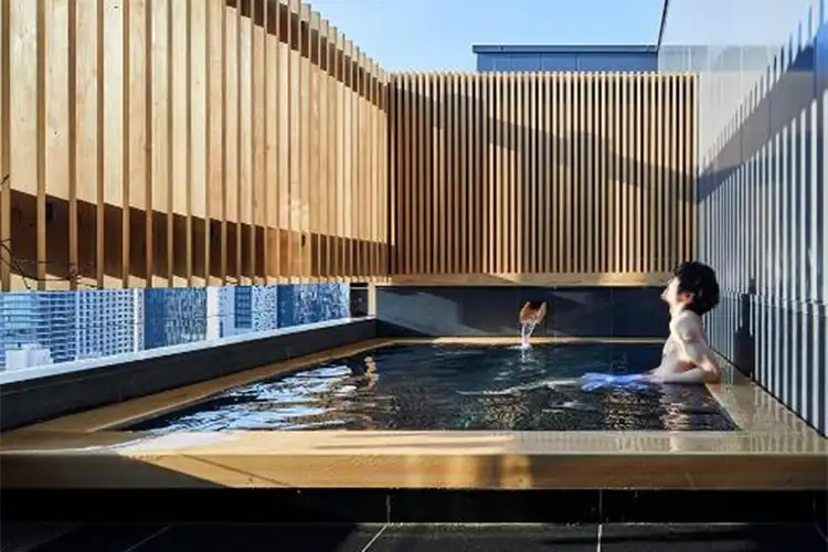 Onsen Ryokan Yuen Shinjuku