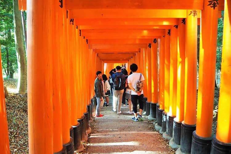 Rondreis Japan Baobab Torii Poorten tijdens een rondreis Japan per trein