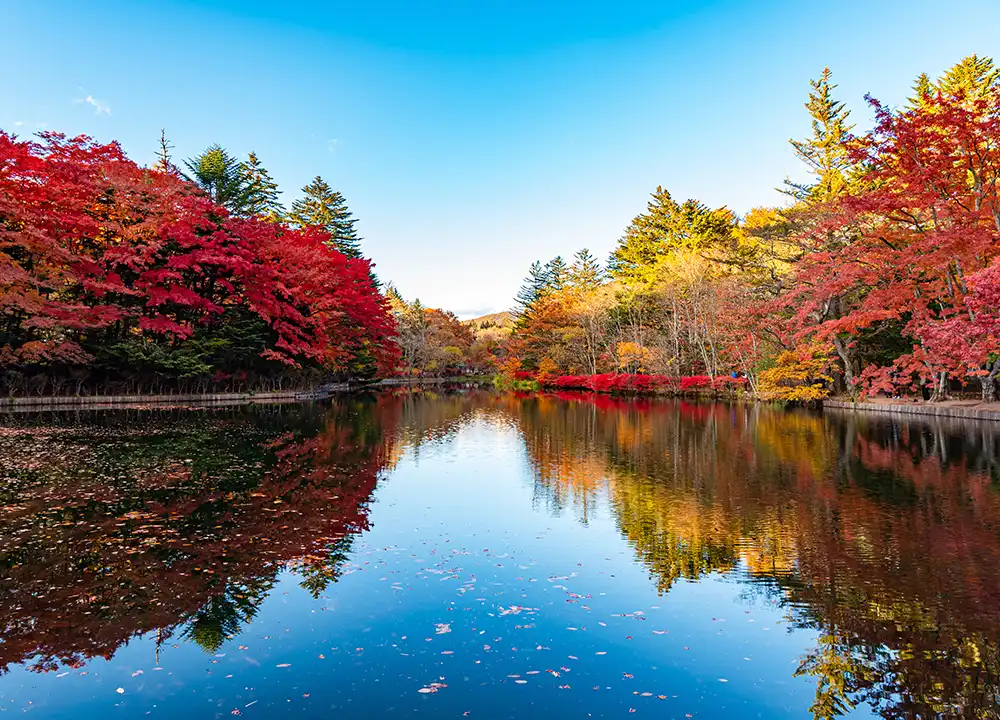 Kumoba Pond in Karuizawa tijdens de herfst