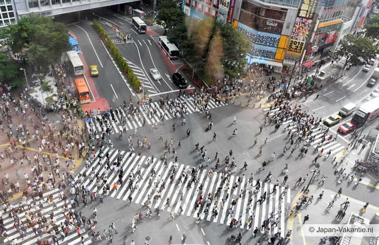 Kruispunt Shibuya