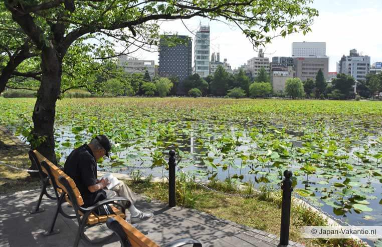 Ueno Park vijver