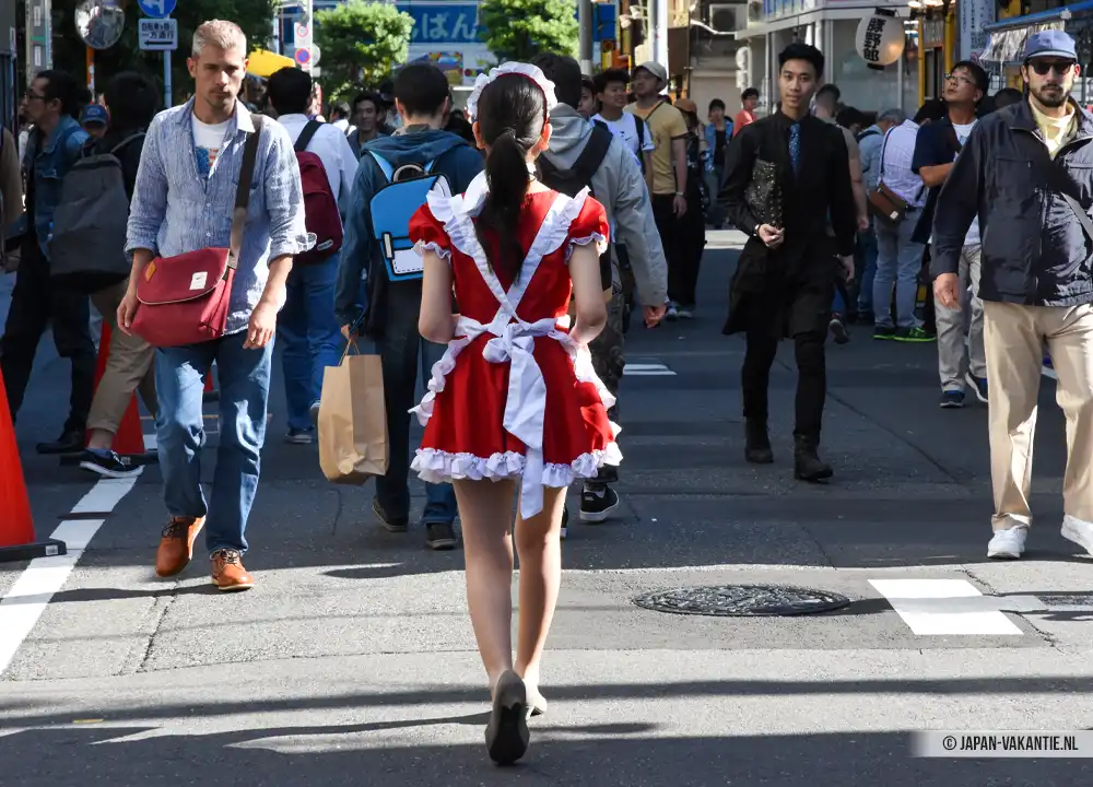 Maid in Akihabara