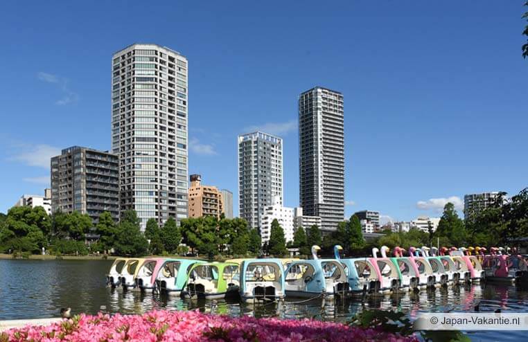 Bootjes in de vijver van Ueno Park Tokyo Japan
