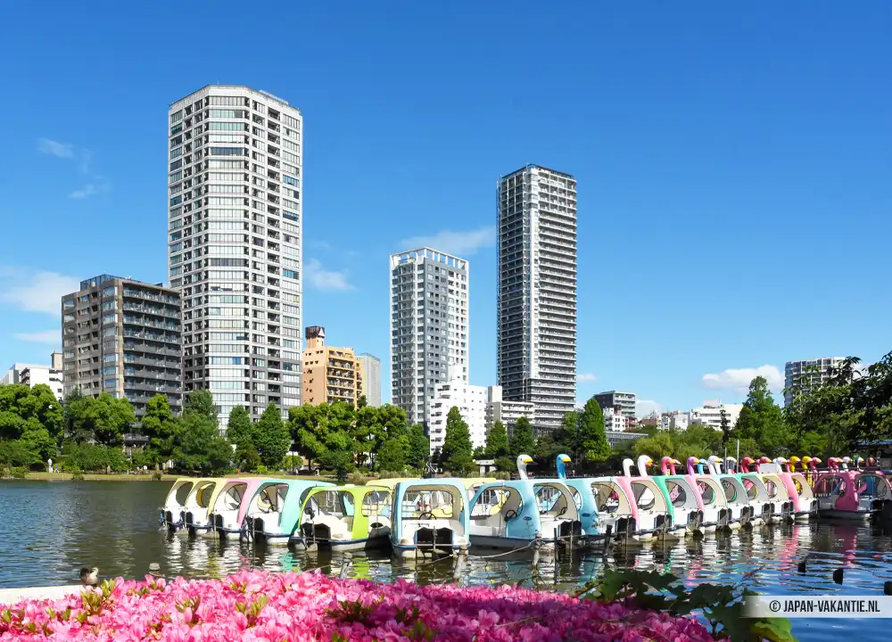 Bootjes op de Shinobazu-vijver in Ueno Park in Tokyo