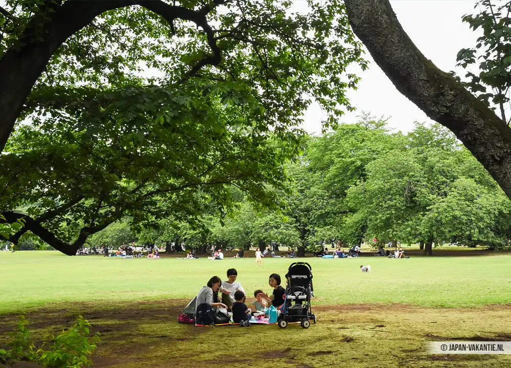 Yoyogi Park Tokyo Japan